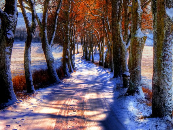 Осень зима природа