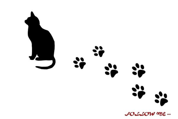 Кошачьи следы и силуэты трафарет