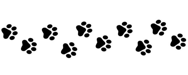 Следы лап на белом фоне