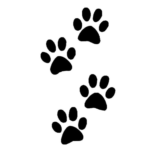 Отпечаток лапы кошки