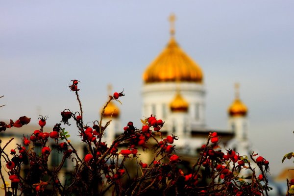 Цветы Православие