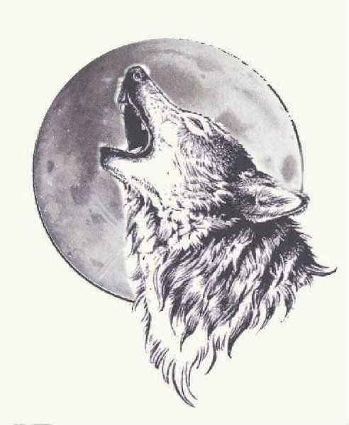 Тату волк воет на луну