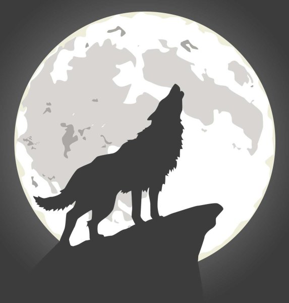 Силуэт волка воющего на луну