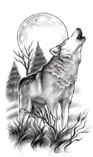 Волк воет на луну эскиз