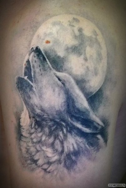 Значение тату волк воет на луну (35+ Фото)