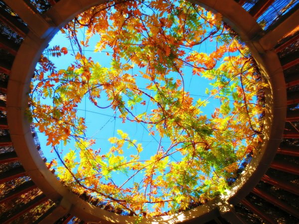 Удивительная осень