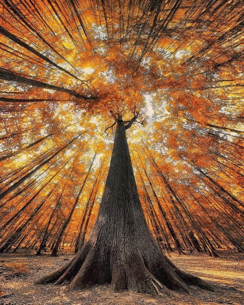 Необычные осенние пейзажи