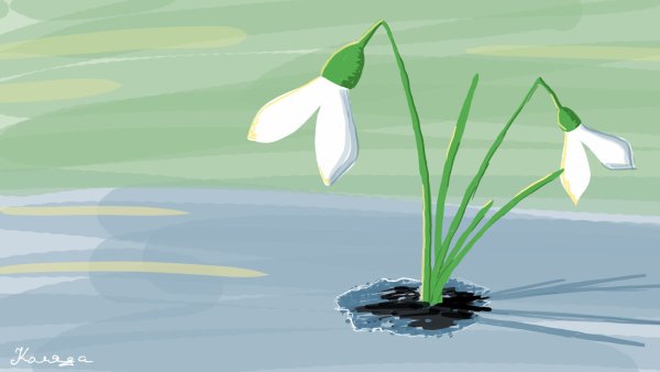 Подснежник для детей