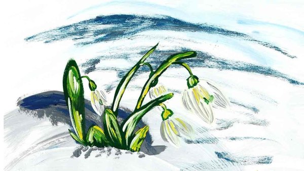 Подснежники красками