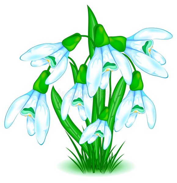 Подснежники для вырезания цветные