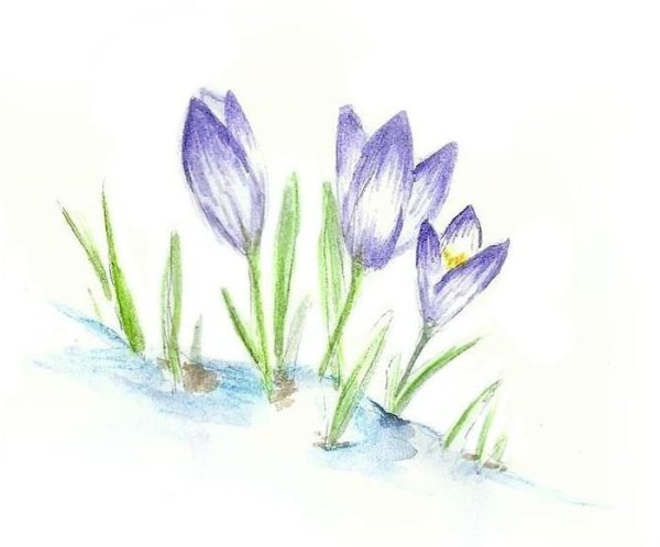 Подснежники акварелью для детей