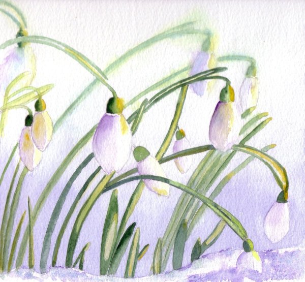 Подснежники рисунок красками
