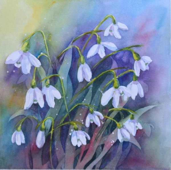 Подснежники акварель Манухов