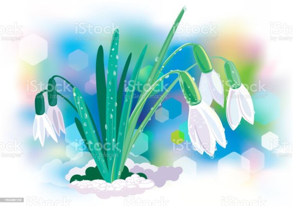 Детский сад Подснежник