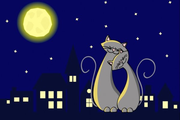 На фоне Луны два кота