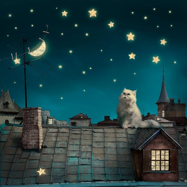 Звезды над домом