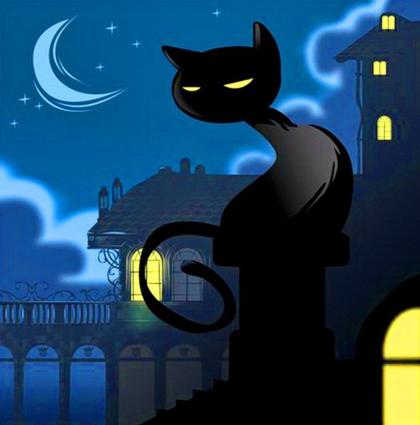 Коты на крыше ночью