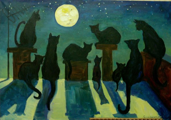 Ночью все кошки серые