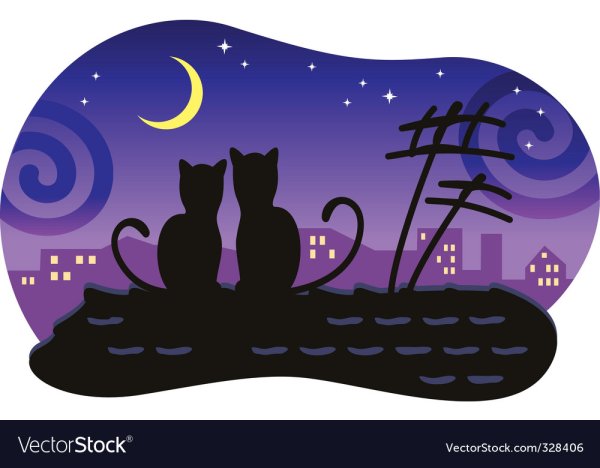 Коты на крыше вектор