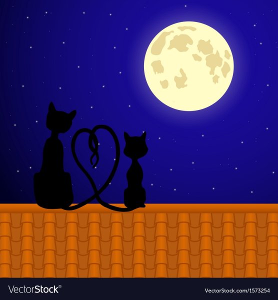 Силуэт кошки на крыше