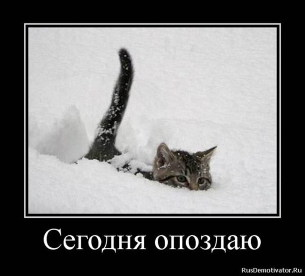 Демотиваторы про сугробы