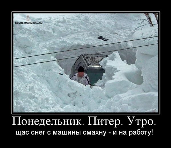 Снегопад смешно
