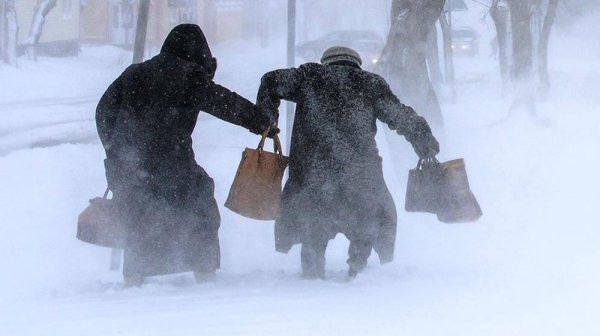 Пурга приколы