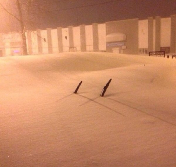 Шутки про метель