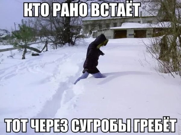 Шутки про метель