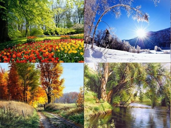 Пейзаж времена года