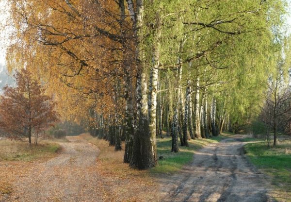Весна и осень