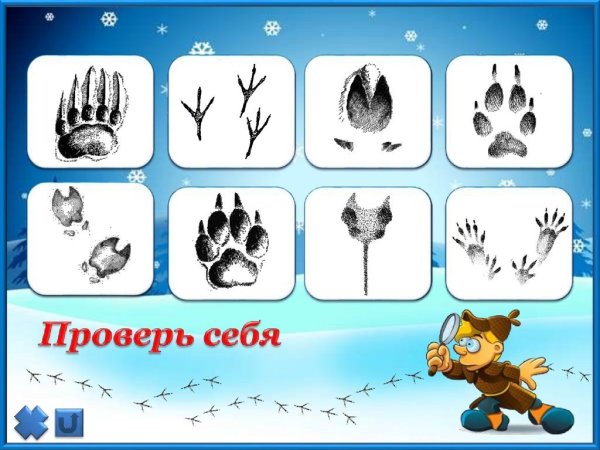 Следы животных с названиями