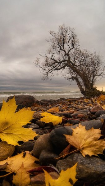 Море осенью