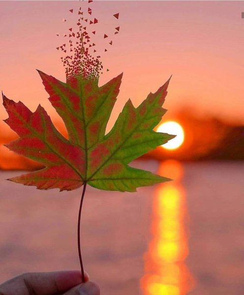 Доброе утро осень