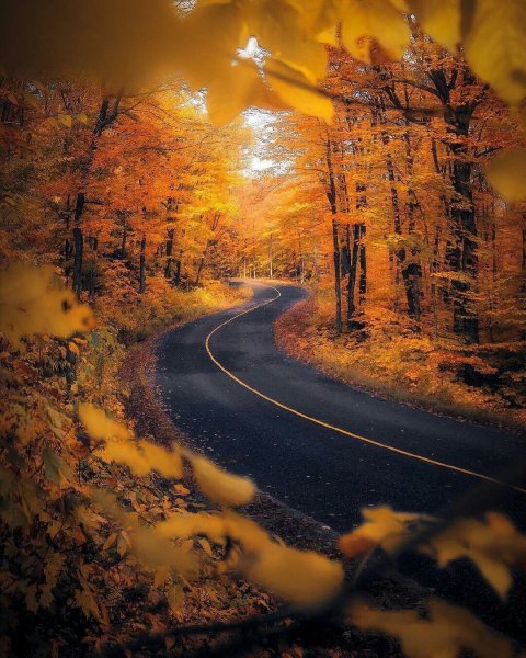 Дорога в осень