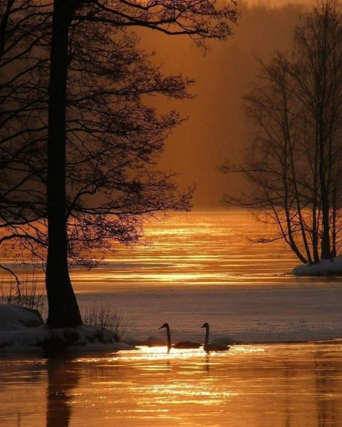 Спокойный пейзаж