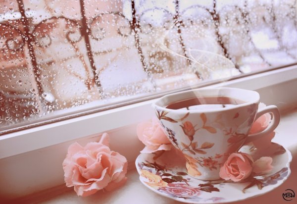 Чашка чая и снег за окном