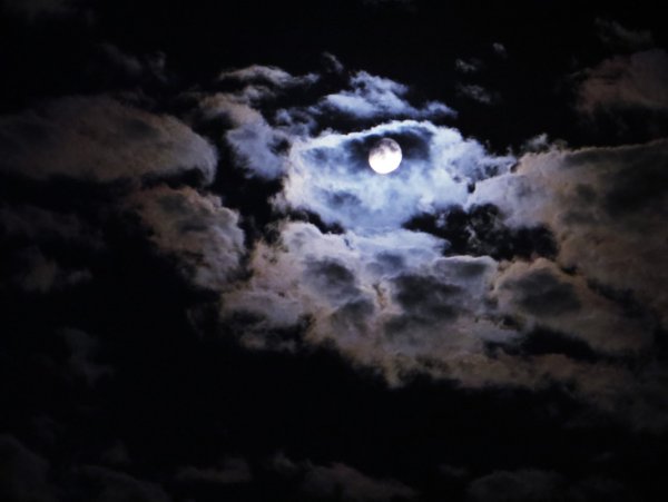 Сквозь волнистые туманы картинка