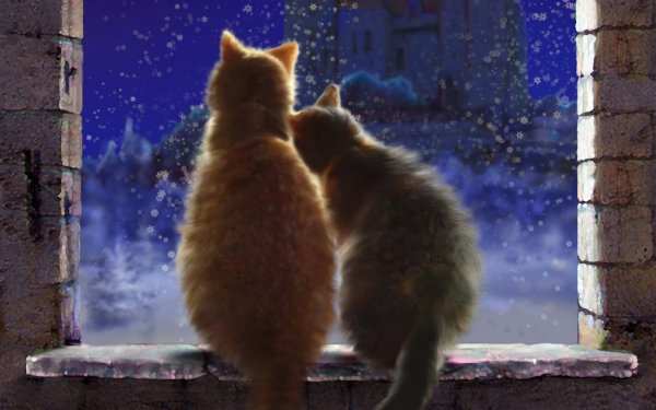 Зимний вечер с котом