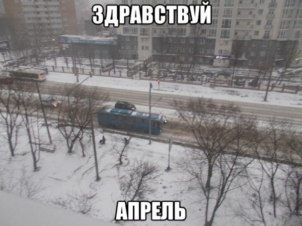 Про снег в апреле смешные