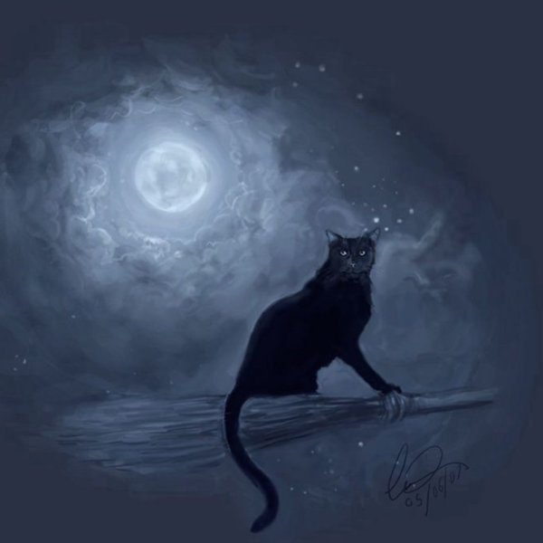 Ведьминский кот