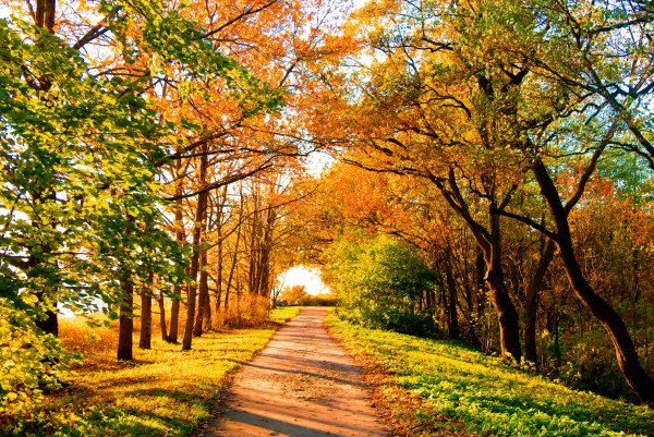 Ранняя осень