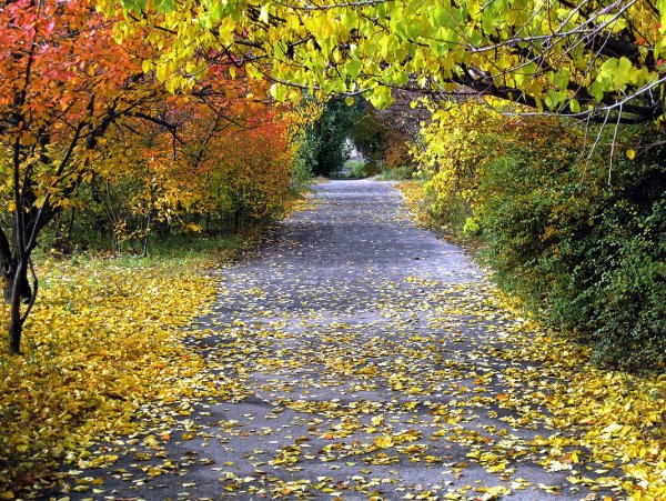 Весенняя осень