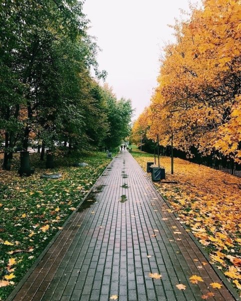 Переход лета в осень