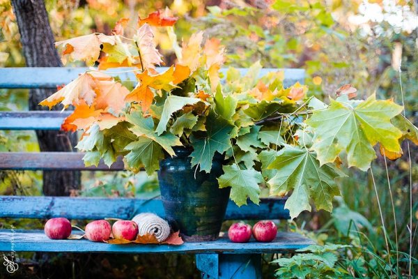 Конец лета и начало осени