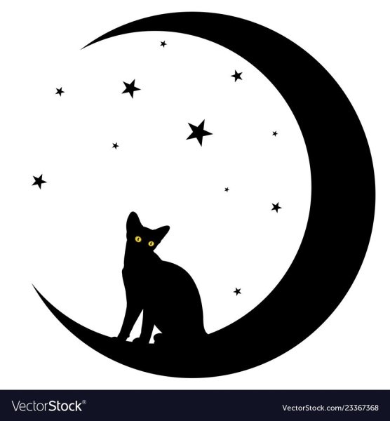 Кошка на полумесяце