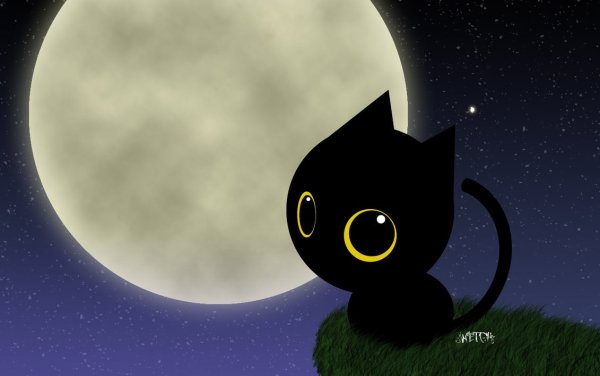 Кошка на фоне Луны