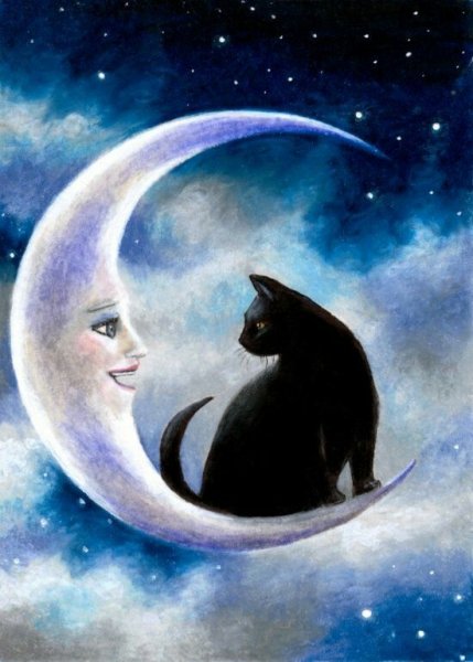 Кот и Луна