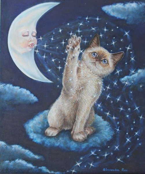 Спокойной ночи кот