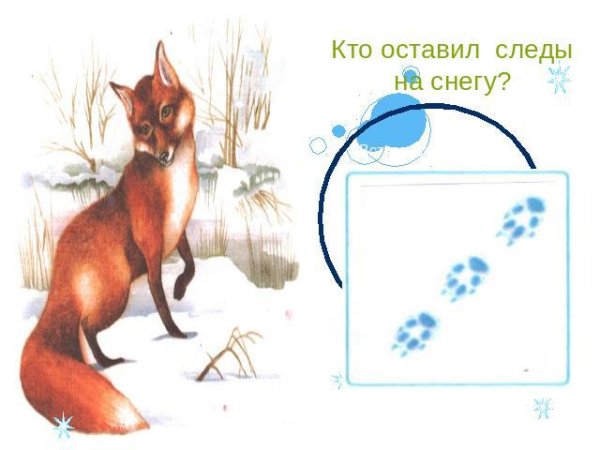 Следы лисы на снегу для детей
